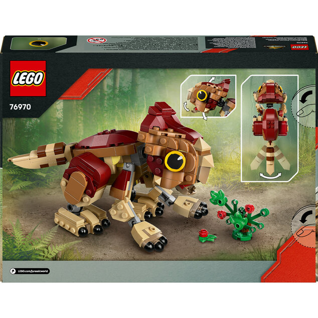 LEGO® Jurassic World™ 76970 Dinosaurie mláďa Dolores: Aquilops
