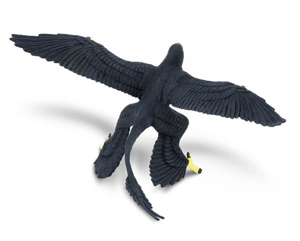 Safari® Microraptor dinosaurus