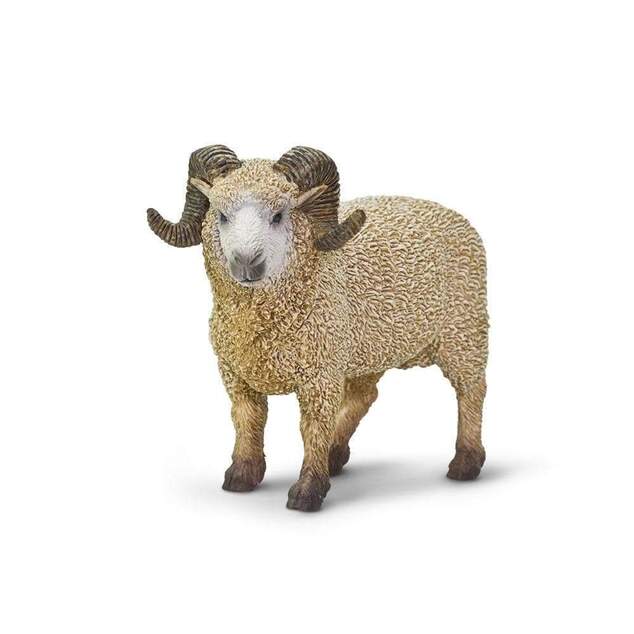 Safari® Baran