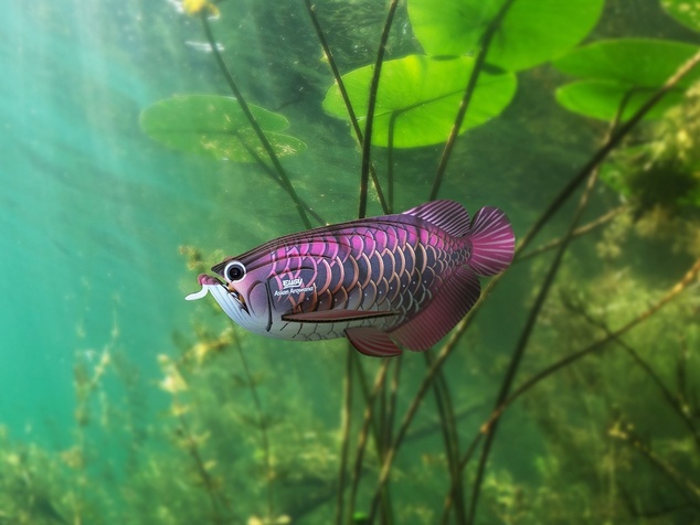 EUGY Arowana azijska 3D kartonasta sestavljanka