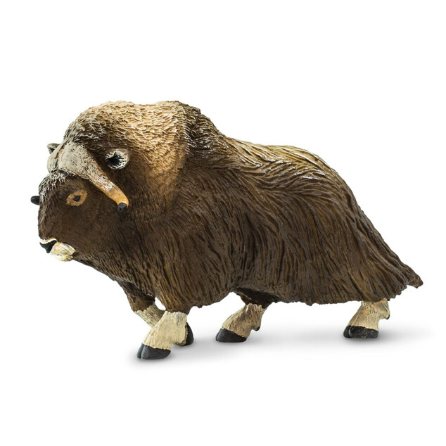 Safari® Mufflon