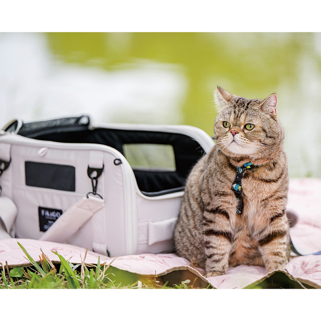 FIKAGO Tragbarer Reiseträger für Hunde und Katzen Truffle Grey