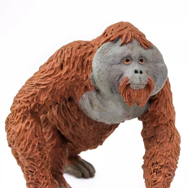 Safari® Orangutan