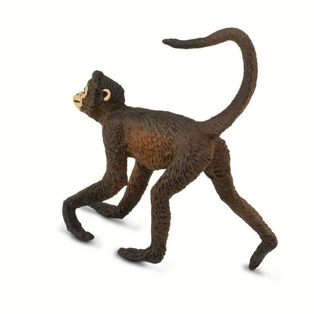 Safari® Kapucínka