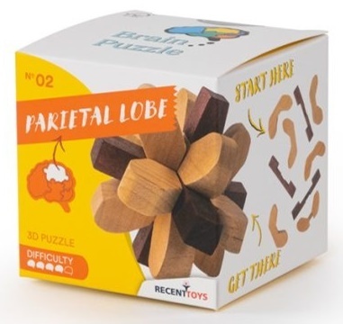 RECENTTOYS Brain Puzzle 1 - temenný lalok