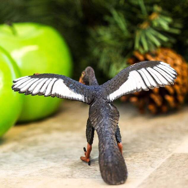 Safari® Archaeopteryx dinozaur