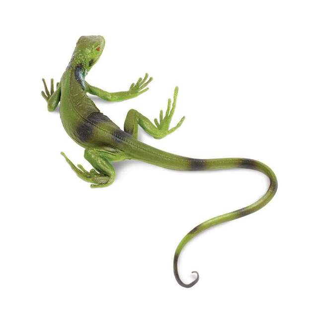 Safari® Mláďa leguána