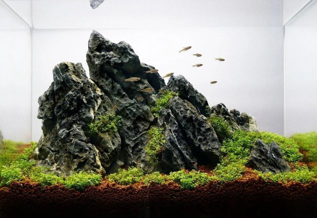 Dark Seiryu stone MIX kartón 10kg