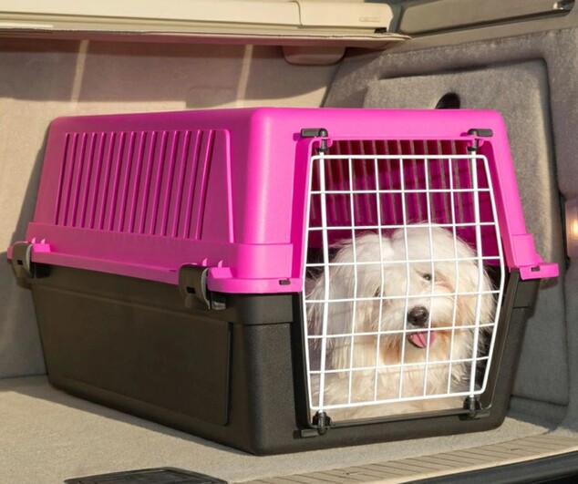 Cutie de transport Ferplast Atlas 10 lila 32,5 x 48 x 29 cm