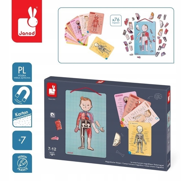 Janod Magnetischer menschlicher Körper Bodymagnet Puzzle mit Tafel zum Aufhängen