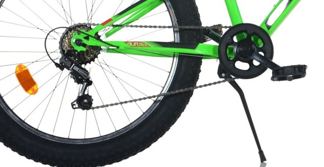 Dino Bikes - Detský bicykel 24" 424UP - AURELIA plus green