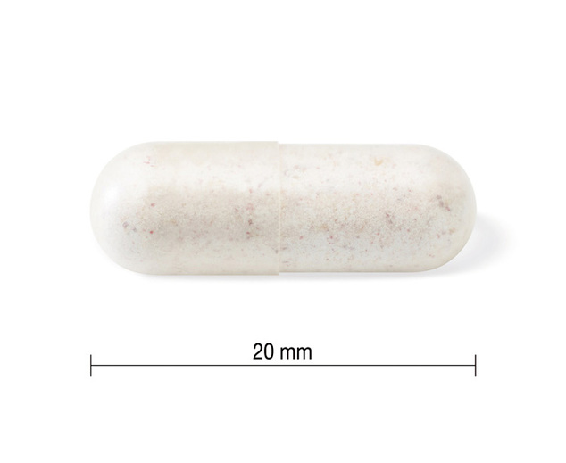 Jamieson Probiotic 10 Milliarden 60 Kapseln