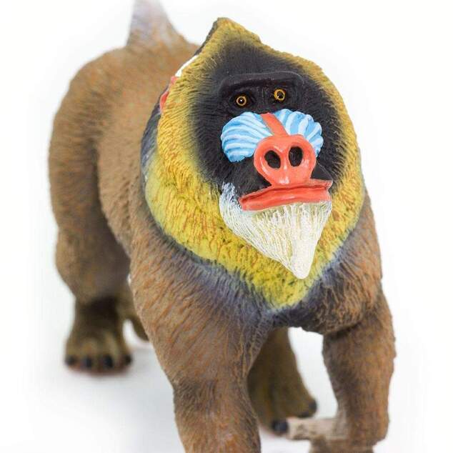 Safari® Mandril