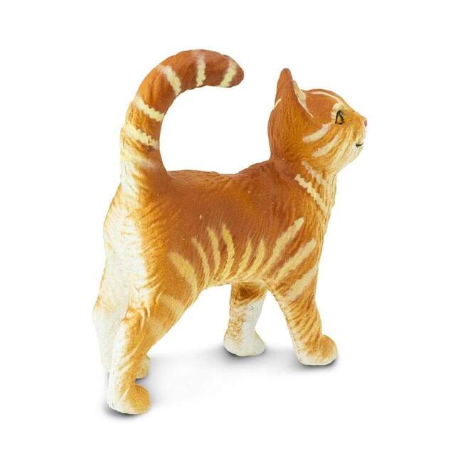 Safari® Mačka Tabby