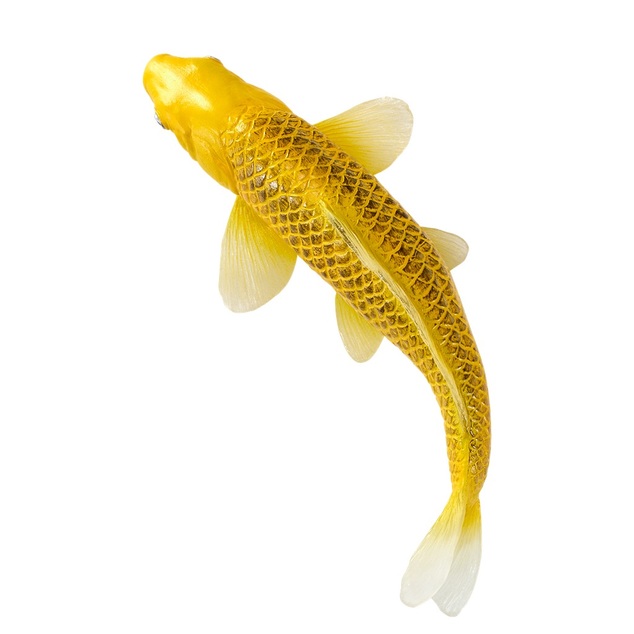 Mojo Kapor koi kin matsuba