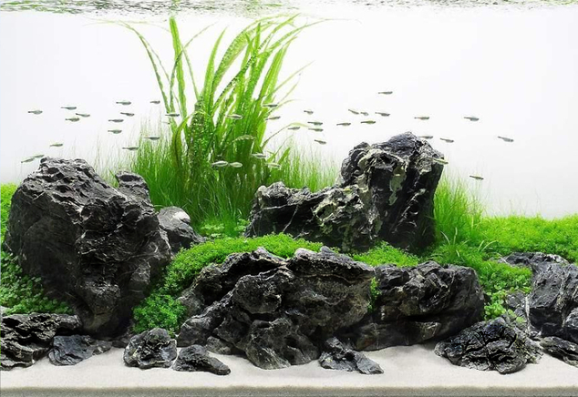 Dark Seiryu stone MIX kartón 10kg