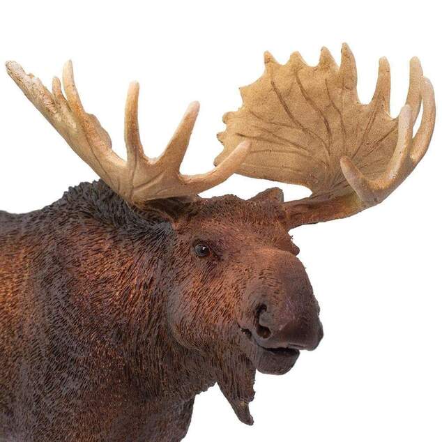 Safari® Los mokraďový XL