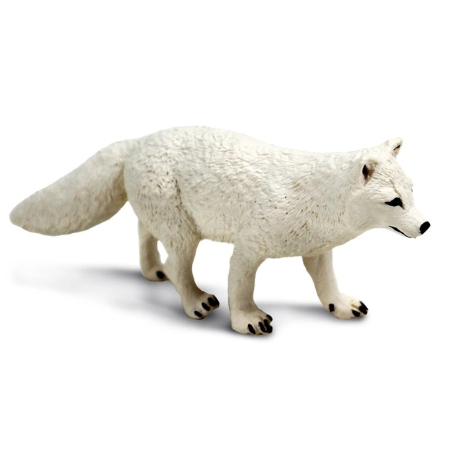 Safari® Vulpe polară