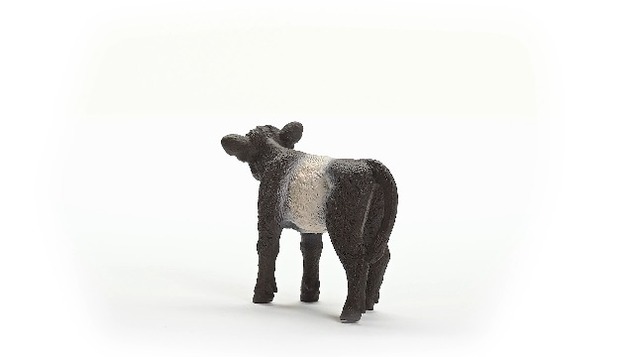 Schleich Gallowayské teľa