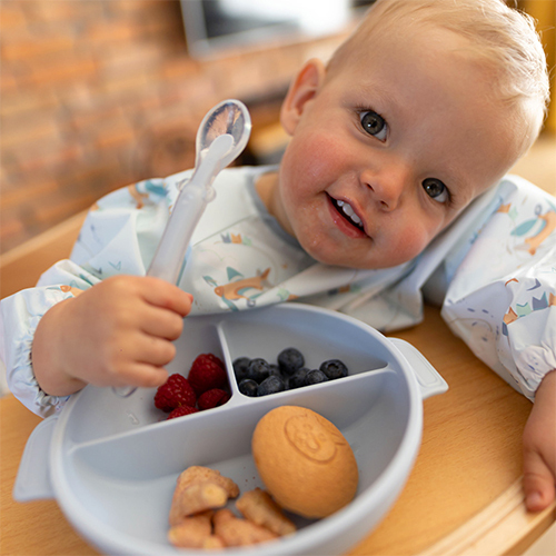 BABYONO Silikonteller mit Saugnapf und Deckel blau 6m+
