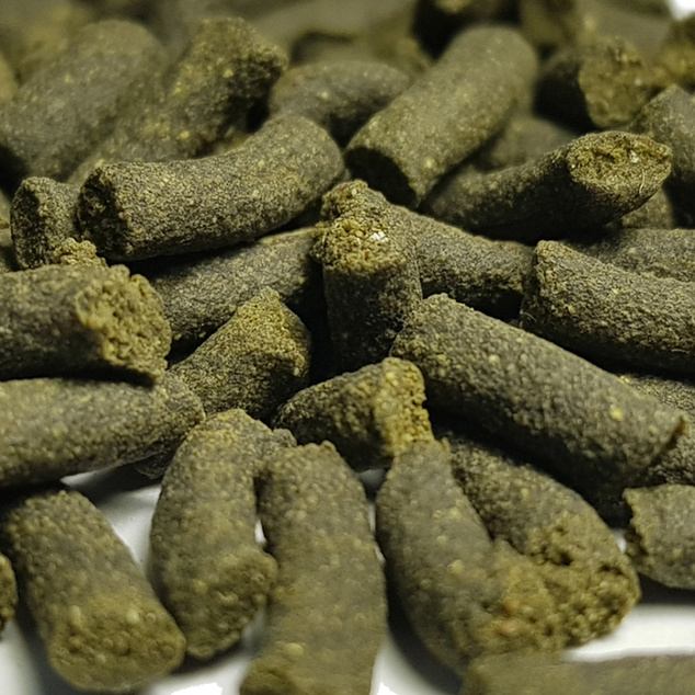 QualDrop Algae - krmivo pre krevety 30g