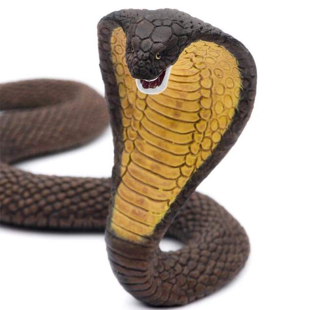 Safari® Kobra