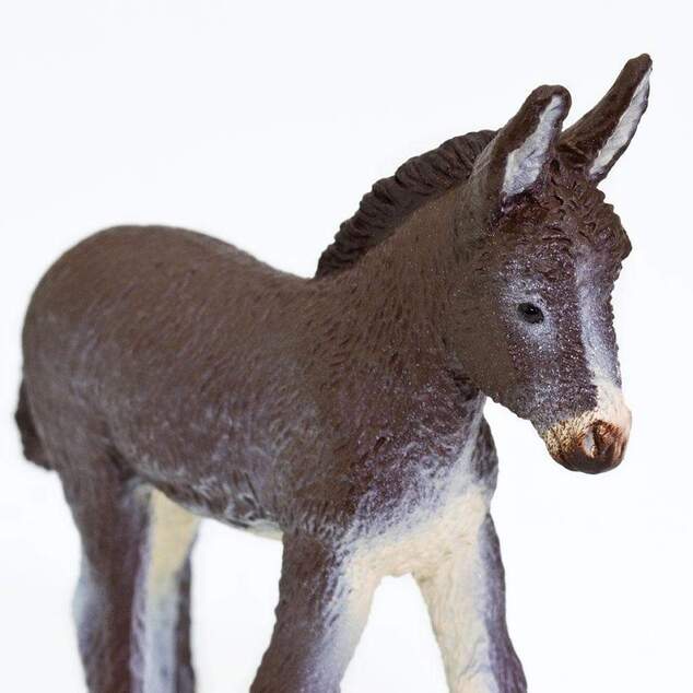Safari® Mláďa osla