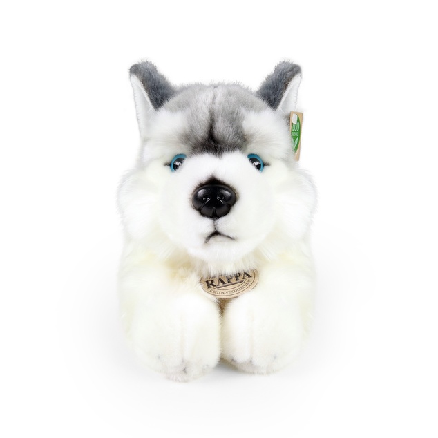 Plüsch-Husky-Hund liegend 30 cm UMWELTFREUNDLICH