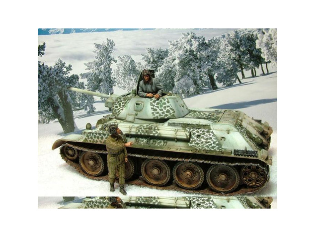Scenic snow (sada)