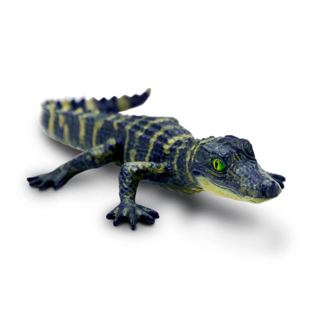 Safari® Alligator mláďa
