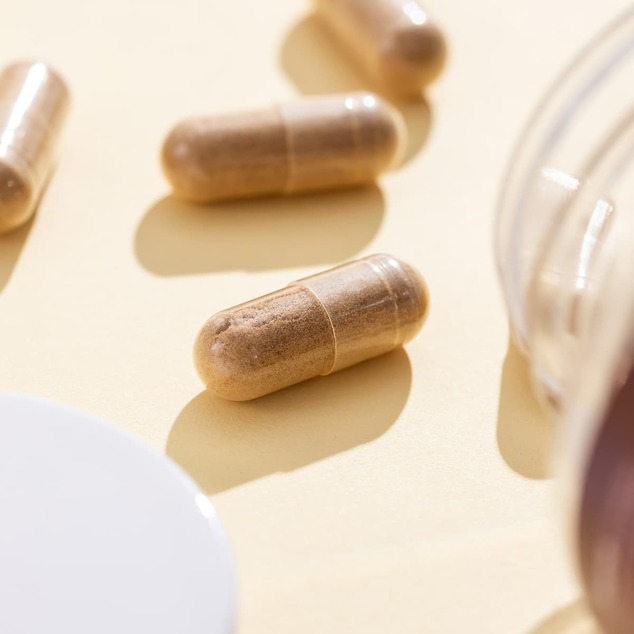 Reishi 60 kapsúl (600mg extraktu / kapsula)