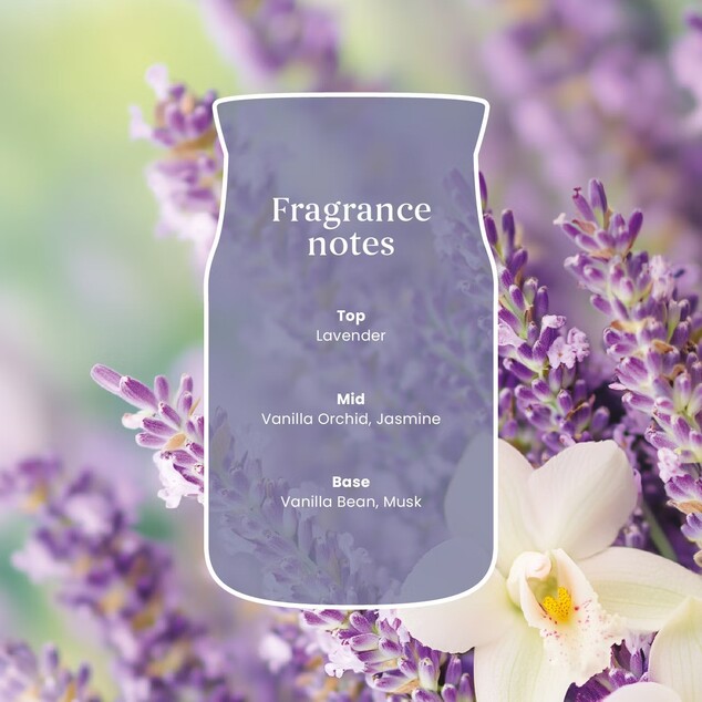 YC Signature Kerze Klein Lavender Vanilla