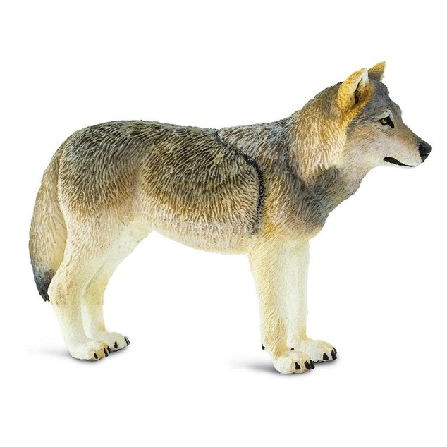 Safari® Sivý vlk