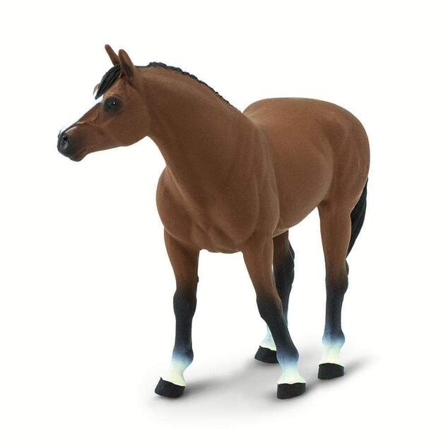 Safari® Quarter horse valach kôň