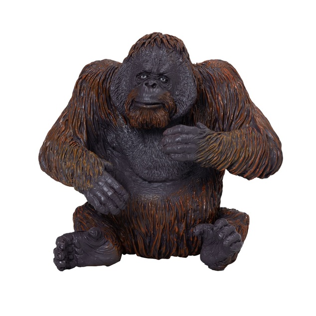 Moj orangutan