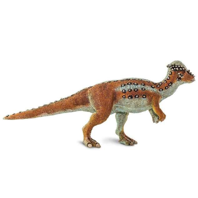 Safari® Pachycephalosaurus dinosaurus
