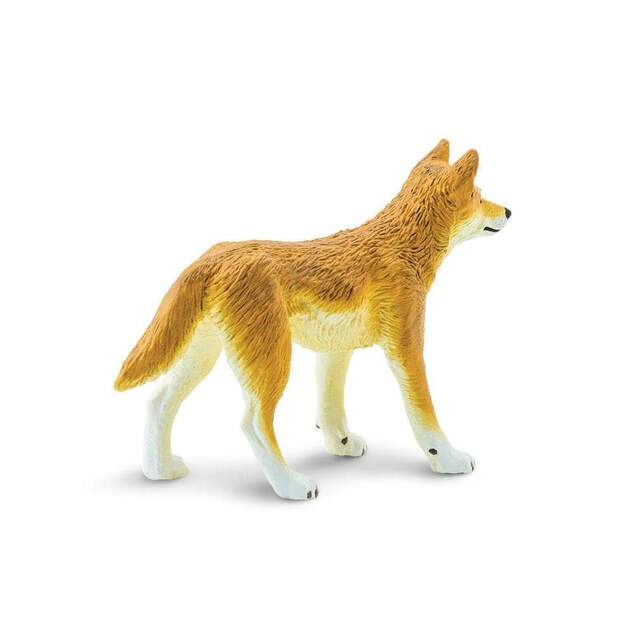 Safari® Dingo