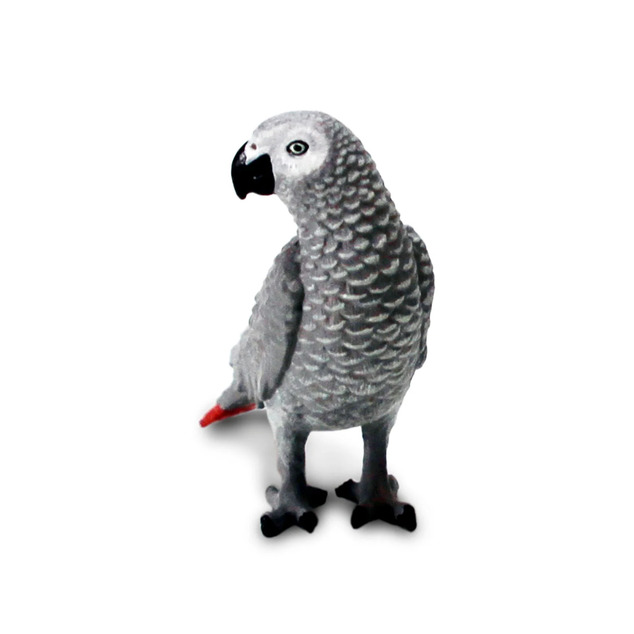 Safari® Africký šedý papagáj