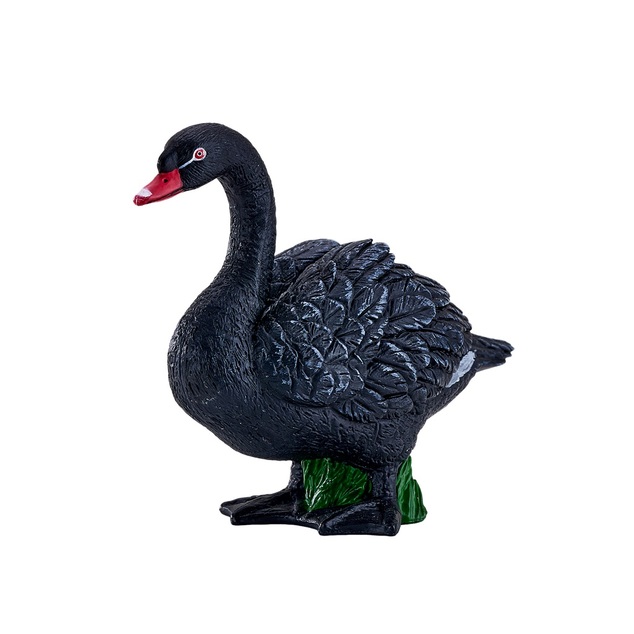 Mojo Cygne noir