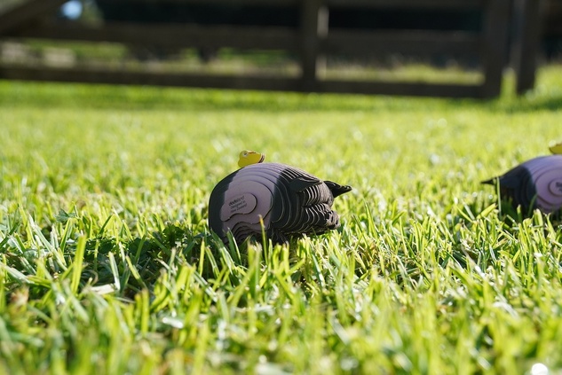 EUGY 3D Pappschwein Puzzle