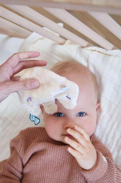 Kaloo Petit Calme Plyšový medveď s levanduľovým vankúšom chladiaci ukludňujúci 9 cm