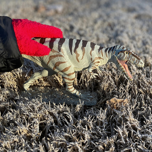 Safari® Giganotosaurus dinosaurus