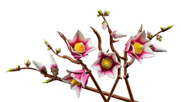 LEGO® Botanicals 11510 Vetvičky magnólie
