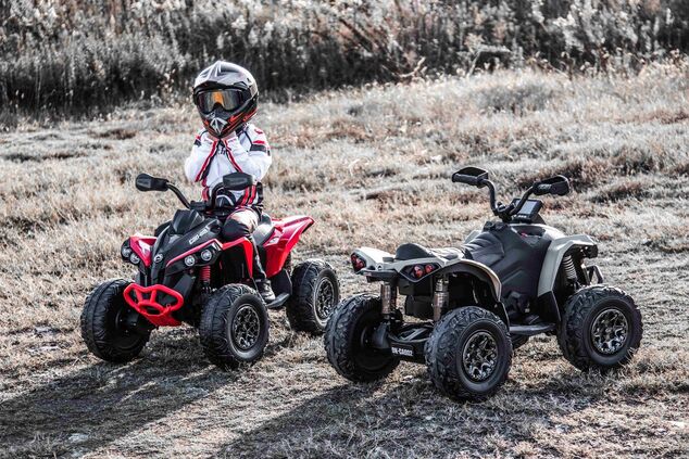 Elektrická štvorkolka Can-am Renegade, 12V červená