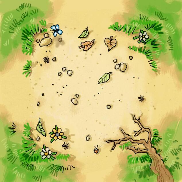 Haba Mini gioco per bambini Duello di streghe ABC dai 6 anni