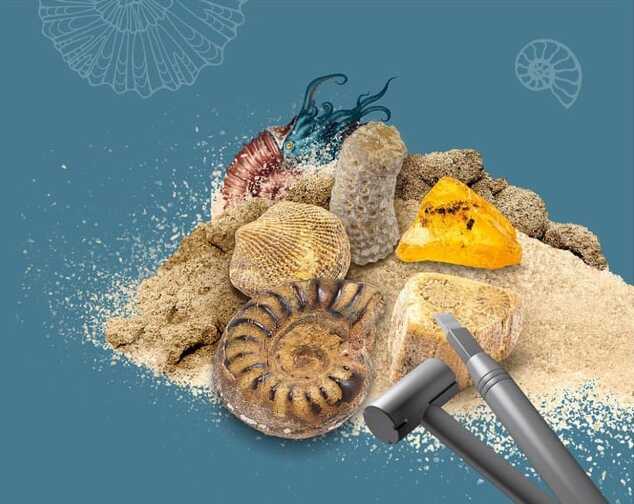 Scavi di fossili per bambini