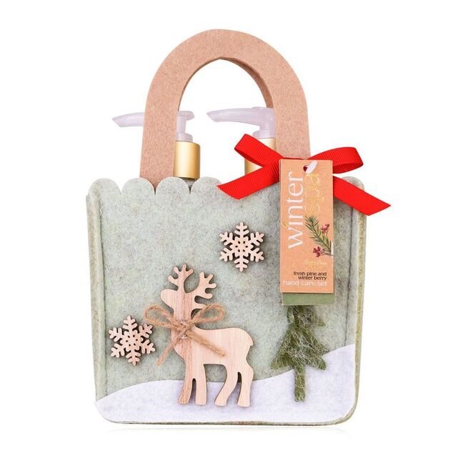 ACCENTRA Set za kupanje Winter Spa u filcanom vrećici Zimsko voće 2x 200ml