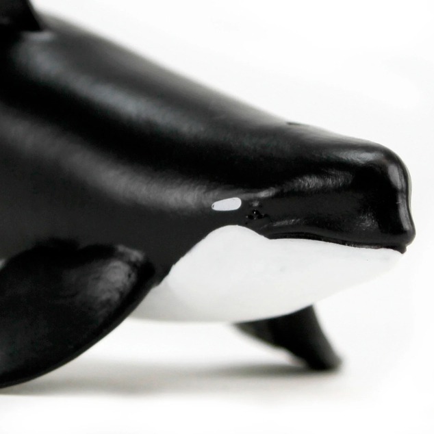 Safari® Orca typ D