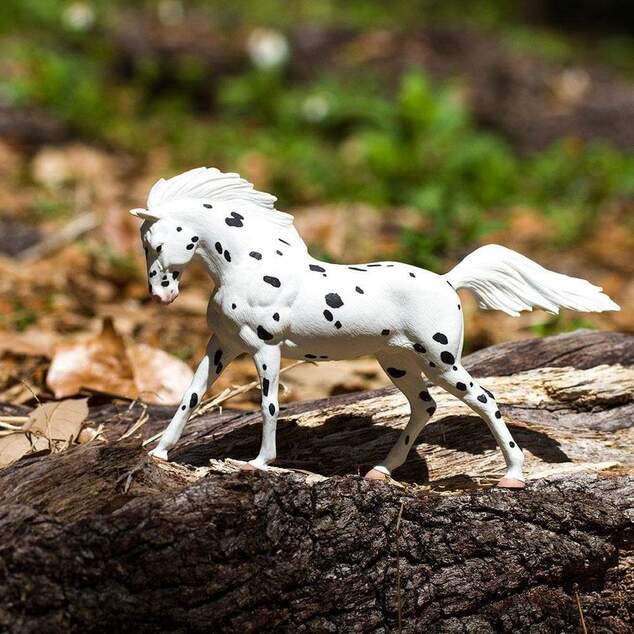 Safari® Knabstrupper kôň