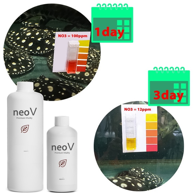 Neo V 1000 ml